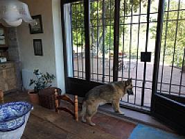 УСАДЬБА С УГОДЬЯМИ ПОД БАРСЕЛОНОЙ thumbnail 12