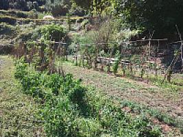 УСАДЬБА С УГОДЬЯМИ ПОД БАРСЕЛОНОЙ thumbnail 89