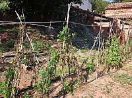 УСАДЬБА С УГОДЬЯМИ ПОД БАРСЕЛОНОЙ thumbnail 92