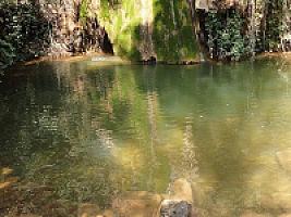 УСАДЬБА С УГОДЬЯМИ ПОД БАРСЕЛОНОЙ thumbnail 98