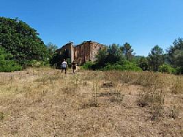 УГОДЬЯ С РУИНАМИ ПОД БАРСЕЛОНОЙ thumbnail 15