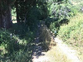 УСАДЬБА С УГОДЬЯМИ В ПИРЕНЕЯХ thumbnail 2