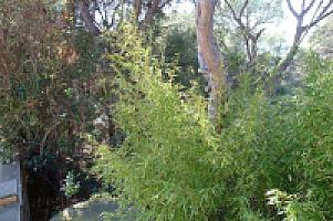 УЧАСТОК НА ПОБЕРЕЖЬЕ МАРЕСМЭ thumbnail 3