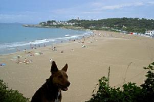 КОКТЕЙЛЬ БАР НА КОСТА ДОРАДА thumbnail 17