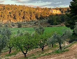 ГОСТИНИЦА С УГОДЬЯМИ В АРАГОНЕ thumbnail 6