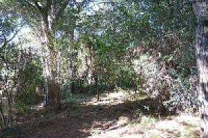 УЧАСТОК НА ПОБЕРЕЖЬЕ МАРЕСМЭ thumbnail 15