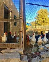 ГОСТИНИЦА С УГОДЬЯМИ В АРАГОНЕ thumbnail 41