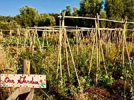 ГОСТИНИЦА С УГОДЬЯМИ В АРАГОНЕ thumbnail 42