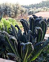 ГОСТИНИЦА С УГОДЬЯМИ В АРАГОНЕ thumbnail 43