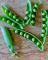 ГОСТИНИЦА С УГОДЬЯМИ В АРАГОНЕ thumbnail 45