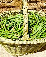 ГОСТИНИЦА С УГОДЬЯМИ В АРАГОНЕ thumbnail 46