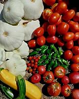 ГОСТИНИЦА С УГОДЬЯМИ В АРАГОНЕ thumbnail 49