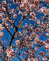 ГОСТИНИЦА С УГОДЬЯМИ В АРАГОНЕ thumbnail 56