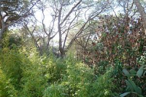 УЧАСТОК НА ПОБЕРЕЖЬЕ МАРЕСМЭ thumbnail 19