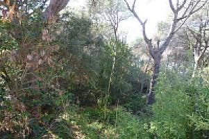 УЧАСТОК НА ПОБЕРЕЖЬЕ МАРЕСМЭ thumbnail 20