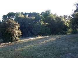 ПОМЕСТЬЕ ПОД ТАРРАГОНОЙ thumbnail 14