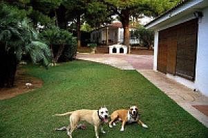 УСАДЬБА НА ПОБЕРЕЖЬЕ КОСТА ДОРАДА thumbnail 31