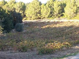 ПОМЕСТЬЕ ПОД ТАРРАГОНОЙ thumbnail 24