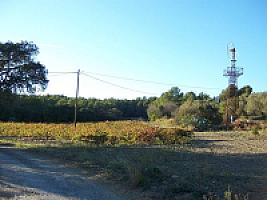 ПОМЕСТЬЕ ПОД ТАРРАГОНОЙ thumbnail 25