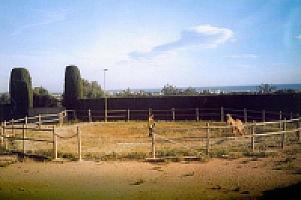 УСАДЬБА НА ПОБЕРЕЖЬЕ КОСТА ДОРАДА thumbnail 44