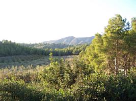 ПОМЕСТЬЕ ПОД ТАРРАГОНОЙ thumbnail 26