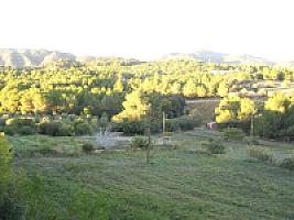 ПОМЕСТЬЕ ПОД ТАРРАГОНОЙ thumbnail 28