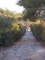 ПОМЕСТЬЕ ПОД ТАРРАГОНОЙ thumbnail 29