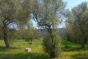 УСАДЬБА НА ПОБЕРЕЖЬЕ КОСТА БРАВА thumbnail 6