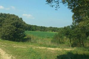 УСАДЬБА НА ПОБЕРЕЖЬЕ КОСТА БРАВА thumbnail 7