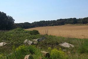 УСАДЬБА НА ПОБЕРЕЖЬЕ КОСТА БРАВА thumbnail 8