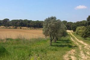 УСАДЬБА НА ПОБЕРЕЖЬЕ КОСТА БРАВА thumbnail 9