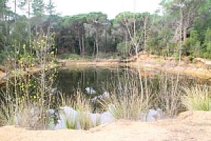 УСАДЬБА НА ПОБЕРЕЖЬЕ КОСТА БРАВА thumbnail 10