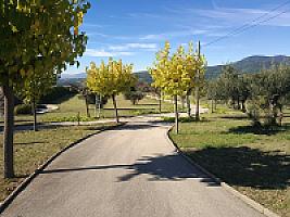 УСАДЬБА С БАССЕЙНОМ ПОД БАРСЕЛОНОЙ thumbnail 66