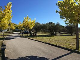 УСАДЬБА С БАССЕЙНОМ ПОД БАРСЕЛОНОЙ thumbnail 86