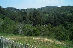 УСАДЬБА С БАССЕЙНОМ НА ПОБЕРЕЖЬЕ МАРЕСМЭ thumbnail 26