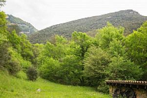 КАМЕННАЯ ВИЛЛА С ХАРИЗМОЙ В ПРЕДПИРЕНЕЯХ thumbnail 51