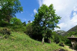 КАМЕННАЯ ВИЛЛА С ХАРИЗМОЙ В ПРЕДПИРЕНЕЯХ thumbnail 54