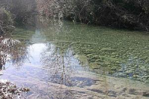 КАМЕННАЯ ВИЛЛА С ХАРИЗМОЙ В ПРЕДПИРЕНЕЯХ thumbnail 71