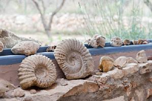 УСАДЬБА С УГОДЬЯМИ ПОД ТАРРАГОНОЙ thumbnail 3