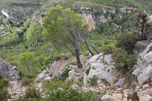 УСАДЬБА С УГОДЬЯМИ ПОД ТАРРАГОНОЙ thumbnail 63