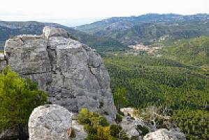 УСАДЬБА С УГОДЬЯМИ ПОД ТАРРАГОНОЙ thumbnail 64