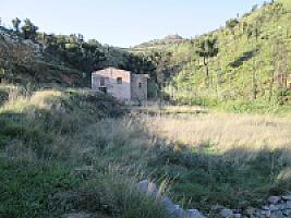 УСАДЬБА С УГОДЬЯМИ В ПРЕДПИРЕНЕЯХ thumbnail 4