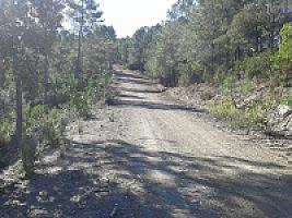 УГОДЬЯ С УСАДЬБАМИ В ПРОВИНЦИИ ЖИРОНА thumbnail 11