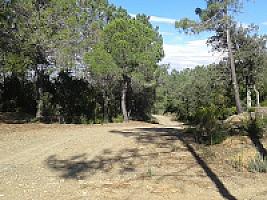 УГОДЬЯ С УСАДЬБАМИ В ПРОВИНЦИИ ЖИРОНА thumbnail 13