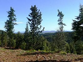 УГОДЬЯ С УСАДЬБАМИ В ПРОВИНЦИИ ЖИРОНА thumbnail 14