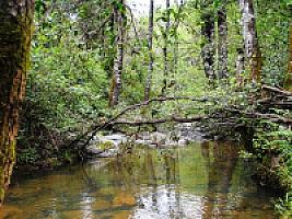 УГОДЬЯ С УСАДЬБАМИ В ПРОВИНЦИИ ЖИРОНА thumbnail 16