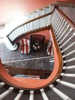 ВИЛЛА С БАССЕЙНОМ НА ПОБЕРЕЖЬЕ thumbnail 17