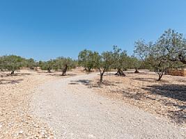 ЭКСКЛЮЗИВНАЯ УСАДЬБА У САМОГО МОРЯ thumbnail 89