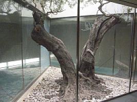 ГОСТИНИЦА В ПРОВИНЦИИ ТАРРАГОНА thumbnail 11