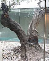 ГОСТИНИЦА В ПРОВИНЦИИ ТАРРАГОНА thumbnail 15